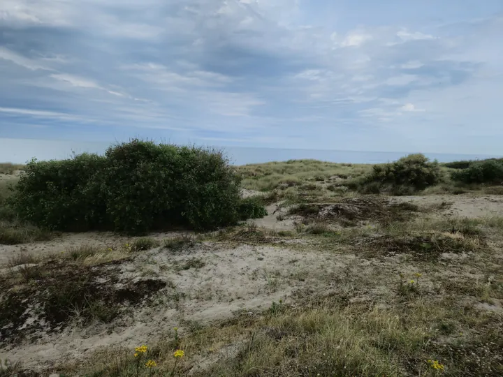 Bredene (Belgium)